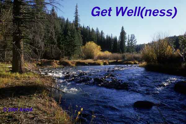Get Well(ness) Message #4
